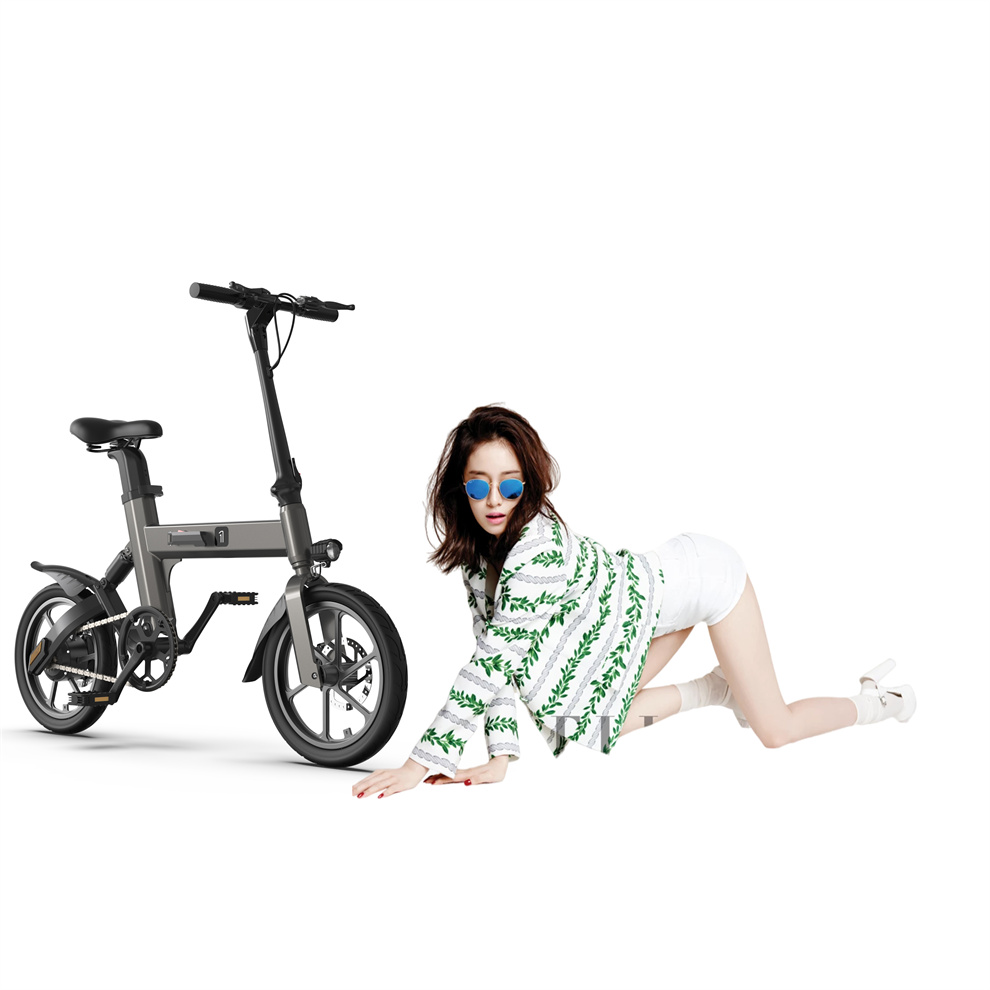 Two Wheels 20-40km Folding Electric Bicycle/ Folding Electric Bike C3