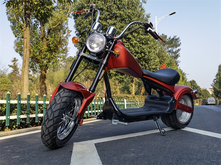 Fat Tire Motorcycle Electric