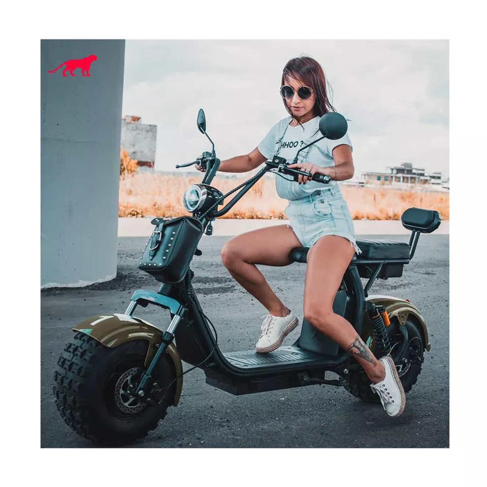 60V12AH,20AH, 25AH Cheap Price Electric Scooters Citycoco