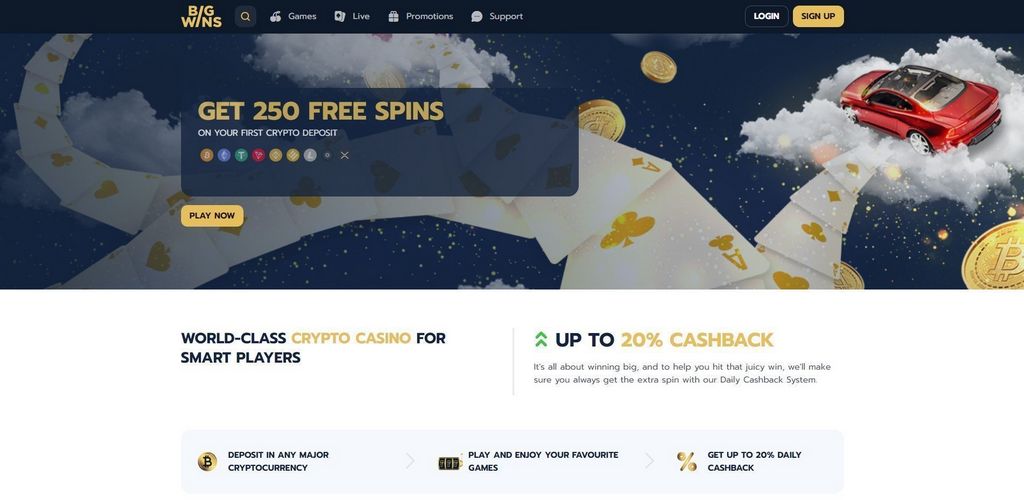 Big Wins Gambling establishment experiences and review 2025